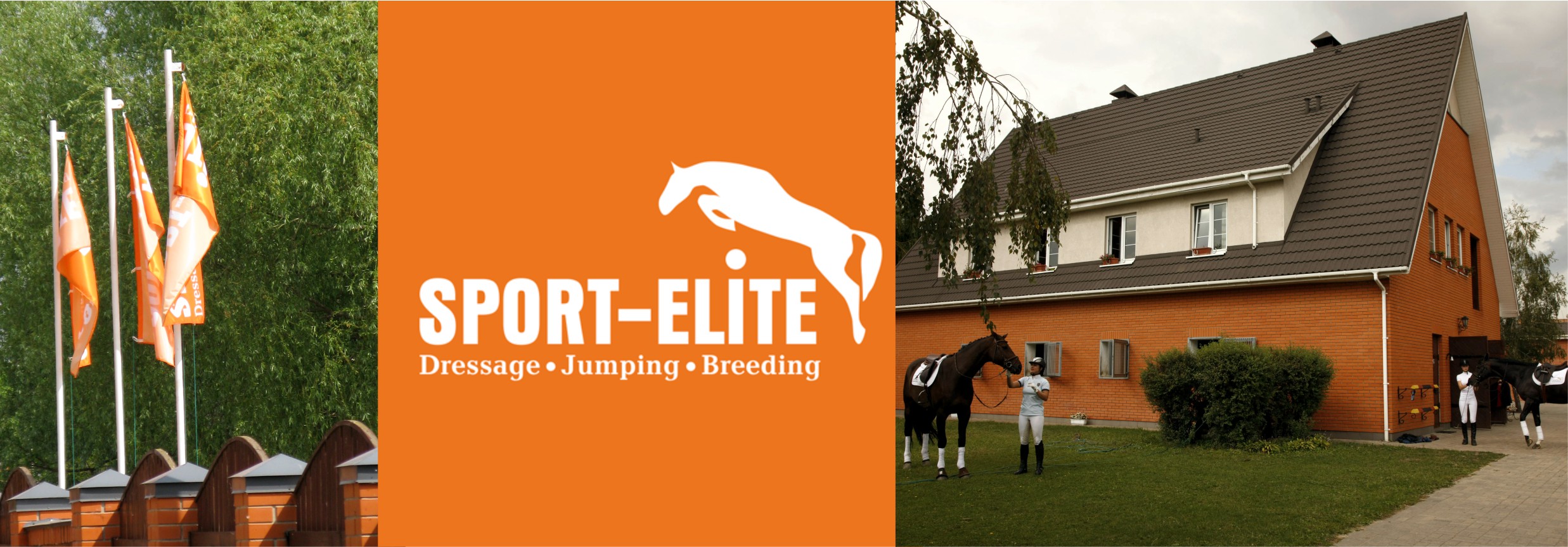Stable "Sport Elite"